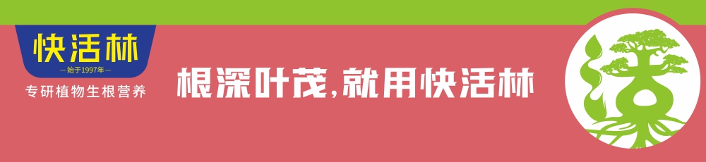 快活林,大大提高栽植成活率，降低养护本钱